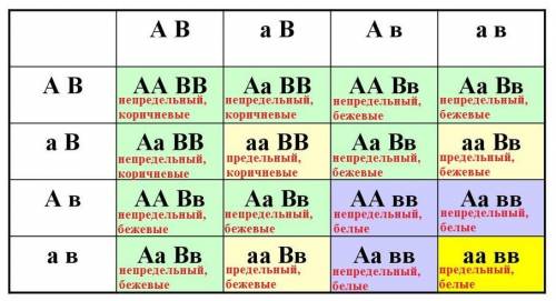 У хлопчатника бывают типы ветвления предельные и непредельные, цвет волокна рыжий и белый. Непредель