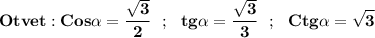 \displaystyle\bf\\Otvet:Cos\alpha =\frac{\sqrt{3} }{2} \ \ ; \ \ tg\alpha =\frac{\sqrt{3} }{3} \ \ ; \ \ Ctg\alpha =\sqrt{3}