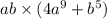 ab \times (4a ^{9} + b ^{5} )