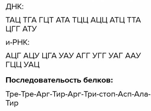 Установіть послідовність амінокислот у пептиді, що був синтезований на основі поданої іРНК: АУГ ГУУ