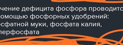 Воздействие какого природного фактора имитирует мука на листьях