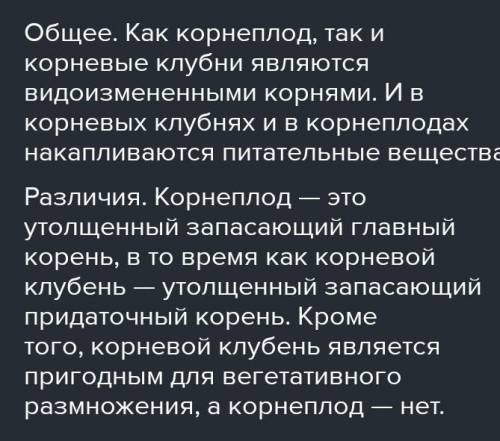 Как образуются клубни и корнеплоды и чем они отличаются ?