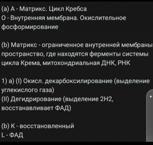 Цикл Кребса происходит в матриксе митохондрий. На рисунке представлены стадии цикла Кребса. А) Испол