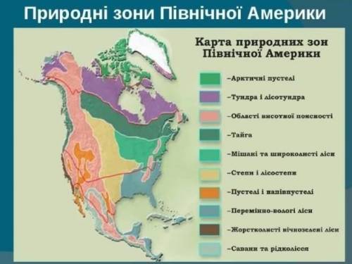 Напишіть будь ласка рослинний світ помірного поясу в південній америці