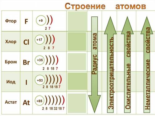 1. Запишите атомное строение галогенов, укажите сходства и различия. 2. Какие степени окисления проя