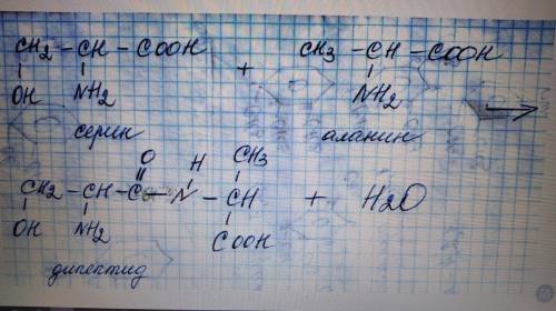 2. Написати рівняння реакції утворення дипептиду аланіл – серину.