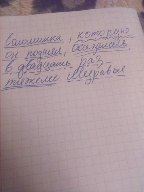 Разбор предложения по членам : соломинка, которую он поднял, оказалась в двадцать раз тяжелее муравь