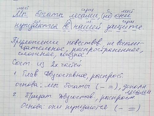 Синтакситечкий разбор предложение: мы богаты лесами,но они в нашей защите