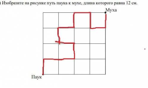 Решите дорога которая равна 12 см