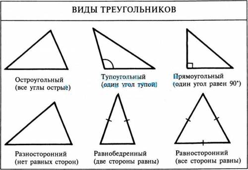 Утрикутнику авс кут а=30, кут в=80. визначте вид трикутника