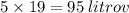 5 \times 19 = 95 \: litrov