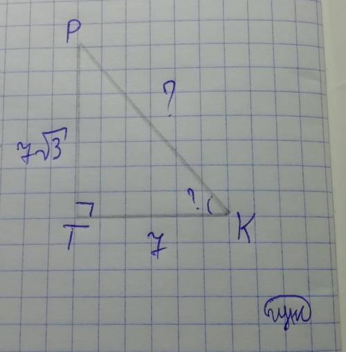 Впрямоугольном треугольнике ркт (∟т= 90), рт = 7√3 см, кт= 7 см. найдите угол к и гипотенузу кр.​