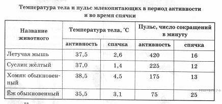 Какое животное имеет самый низкий пульс во время спячки​