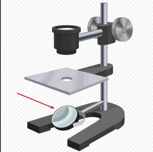 Какую функцию выполняет зеркало у штативной лупы​