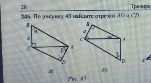 246. По рисунку 43 найдите отрезки AD и CD ​