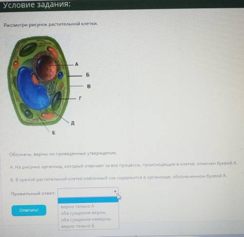 НУЖНА ПО БИОЛОГИИ КТО ОТВЕТИТ ЕЩЁ ПОДПИШУСЬ)))) ​