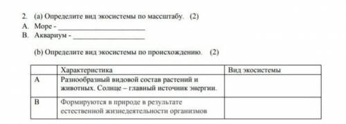 Определите вид экосистемы по масштабу А)море- В)Аквариум через 10 мин нужно здать ​