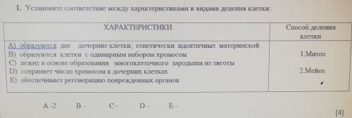 Установите соответствие между характеристиками и видами деления клетки. ​