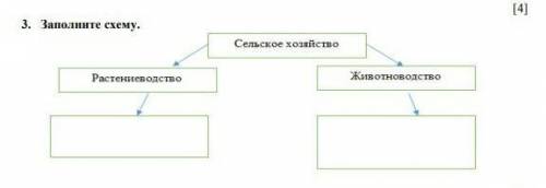 Сельское хозяйство Растеневодства Животноводство ​