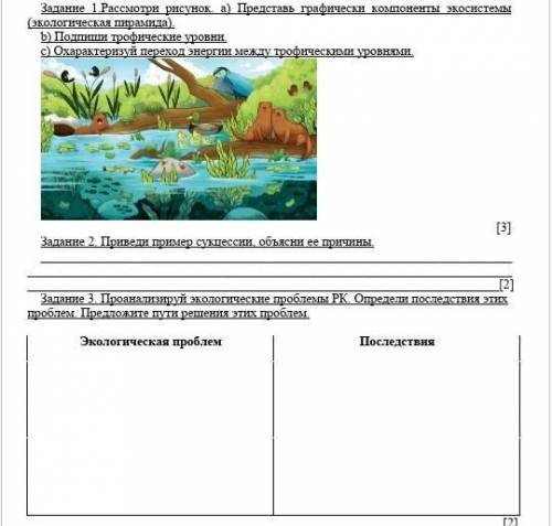 Задание 1.Рассмотри рисунок. а) Представь графически компоненты экосистемы (экологическая пирамида П