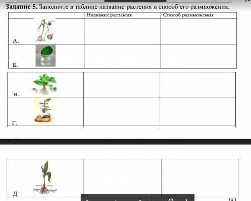 Заполните в таблице название растения и его размножения