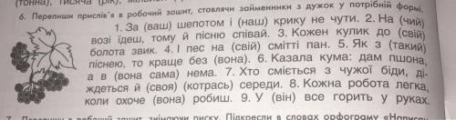 ❤️Поставьте займенники у потрібній формі❤️