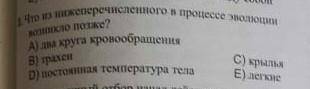 Что из нижеперечисленного в процессе эволюции возникло позже ​