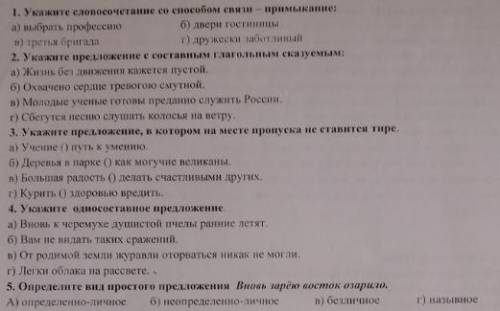 Русский язык. 8 класс. Help