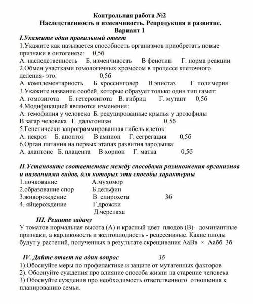 Очень надо Сделайте Римскую 2 и 3, нууу если и знаете то и 4, нууу очень надо