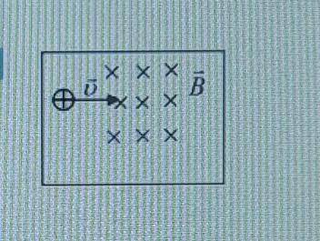 В каком направлении будет смещаться частицы влетающей в магнитное поле смотреть рисунок ​