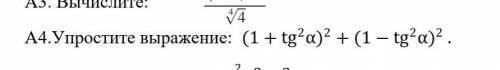 Упростите выражение: (1+tg^2 α)^2+(1-tg^2 α)^2 .​