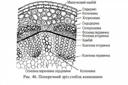 с не очень сложным заданием