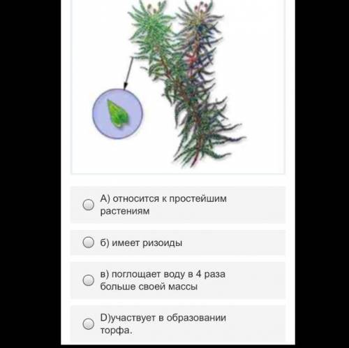 Что из нижеперечисленного верно для этого растения? (Картинку я прикрепила)