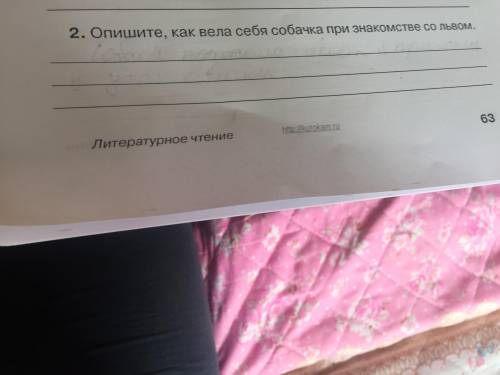 Прочитать сказку и отвечать на 5 вопросы