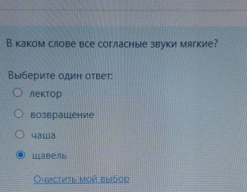 В каком слове все согласные звуки мягкие ?​