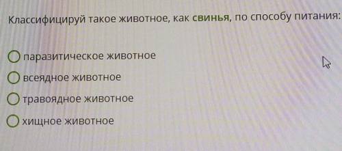Классифицируй такое животное, как свинья, по питания: опаразитическое животноеОвсеядное животноеОтра