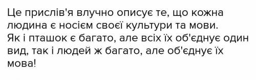 До ть будь-ласка Поясніть прислів‘я: 1.Птицю пізнають по пір‘ю, а людину по мові