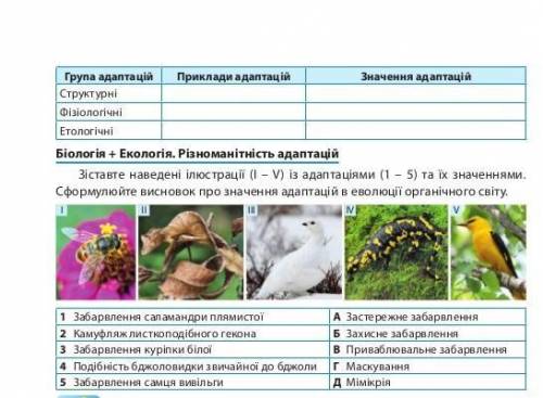 .Наведіть приклад адаптацій (пристосувань) з кожної групи та визначте їхнє значення. Сформулюйте вис