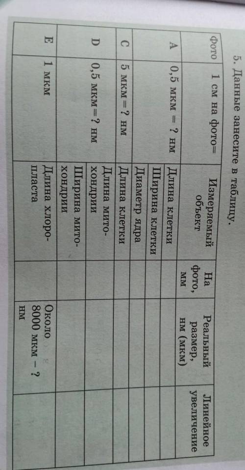 5. Данные занесите в таблицу. нужно ​