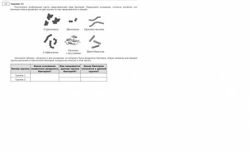 Хелп, биология 8 класс бактерии