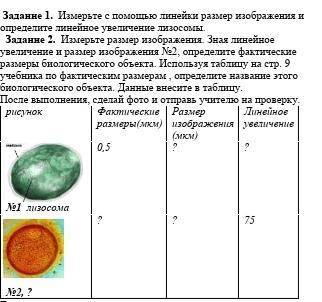 с биологиейВсего 2 задания на фото