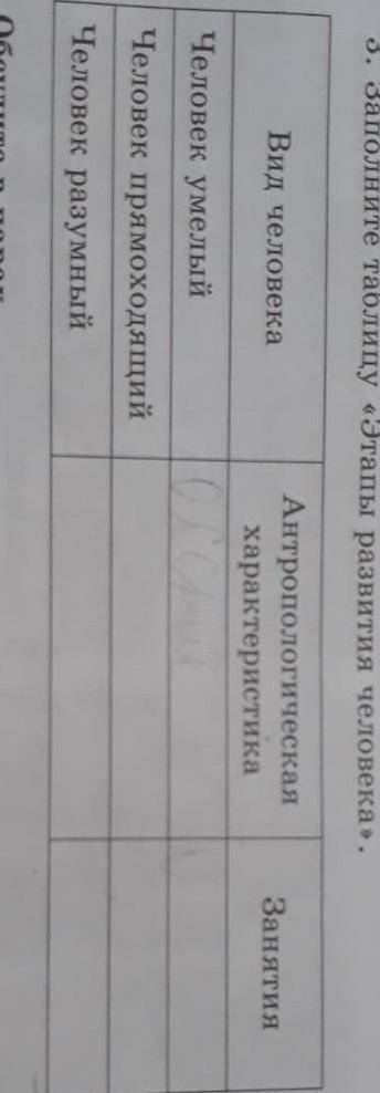 Заполните таблицу Этапы развития человека человек умелый, человек прямоходящий, человек разумный