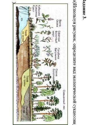 Используя рисунок определите вид экологической сукцессии​