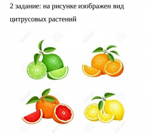 (а)- относятся ли они к одному виду ? (б)- объясните свой ответ (с)- на какие особенности следует об