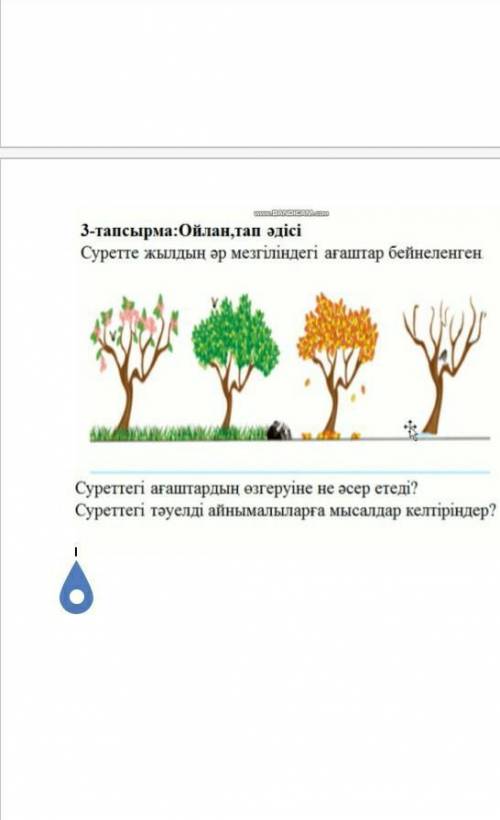 Суретте әр жыл мезгіліндегі ағаштардың өзгеруіне не әсер етед