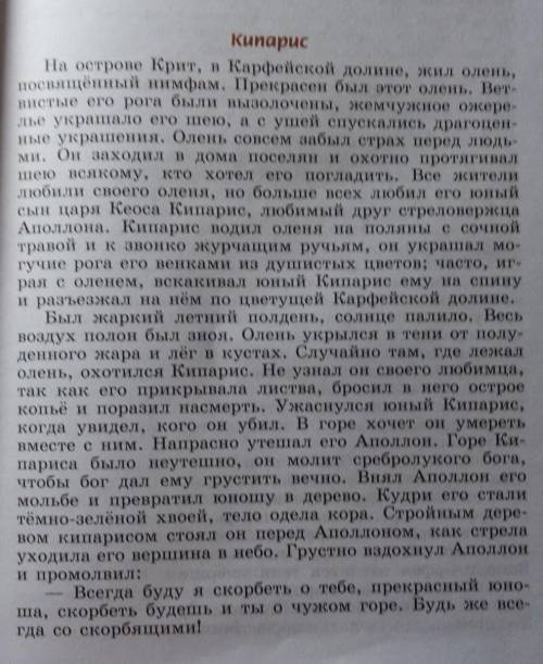 Составить вопросы к тексту Кипарис
