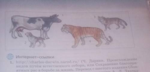 Биологи 7 класс ват продолжение до завтро ​
