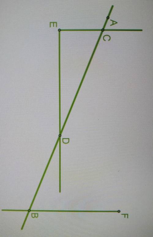 отметь из предложенных в ответе имеющиеся на рисунке отрезки:EB, CE, CB, EC, BD, FD. ​