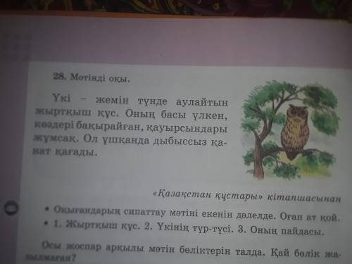 28. Мәтінді оқы. Үкі жемін түнде аулайтын жыртқыш құс. Оның басы үлкен, коздері бақырайған, қауырсын