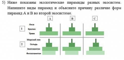 Напишите виды пирамид и объясните причину различия форм пирамид а и в во второй экосистеме